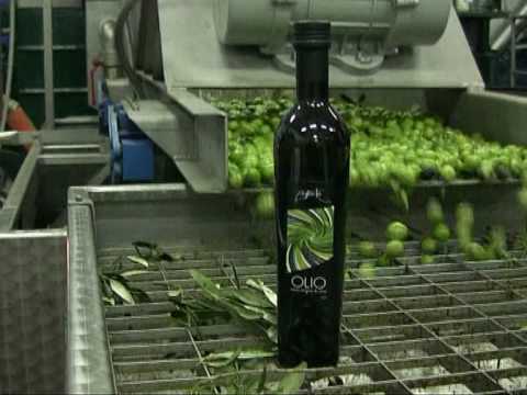 FRANTOIO OLEARIO POSSENTE 2009 PROMOZIONE - YouTube