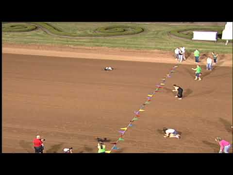 Red Mile Dog Races Red Mile Racetrack 8-23-18 Dog Race 5 Finale - YouTube