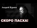 Пасха. диакон Андрей Кураев