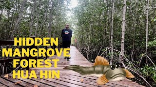 Hidden Mangrove Forest near Hua Hin Thailand