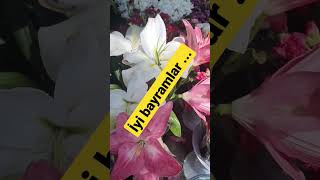 İyi Bayramlar Güzel Ülkemin Güzel İnsanları