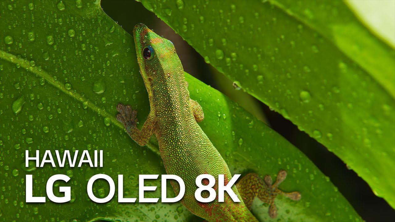 ⁣LG OLED 8K : HAWAII 8K HDR 60fps | LG