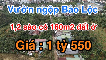 bán gấp mảnh vườn 1,2 sào sẵn 160m2 thổ cư giá 1 tỷ 550 tại Bảo Lộc   .