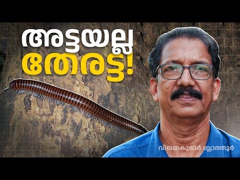 Millipede Facts: The FIRST Animals on Land! അട്ടയും തേരട്ടയും ഒന്നല്ല #millipede #facts #malayalam