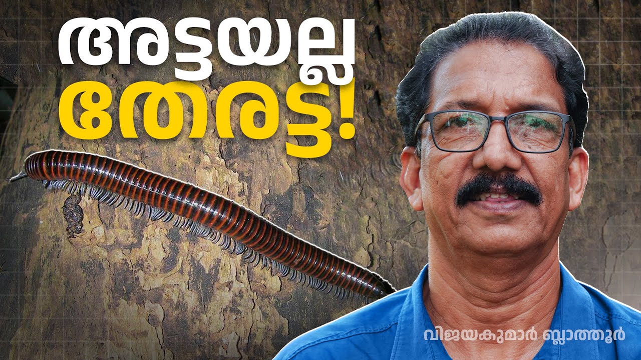 Millipede Facts: The FIRST Animals on Land! അട്ടയും തേരട്ടയും ഒന്നല്ല 
