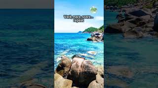 Cu gandul la vara 🌊🌞 #vacantalamare #mutare #emigrare #plaja