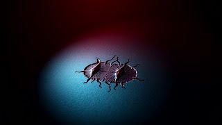 The Forensic Science Behind Bite Marks: 7 Shocking Cases You Didn't Know About