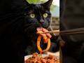 Nero the Black Cat Makes Spicy Korean Pork BBQ 🌶️ Huge Lettuce Wrap Mukbang #shorts