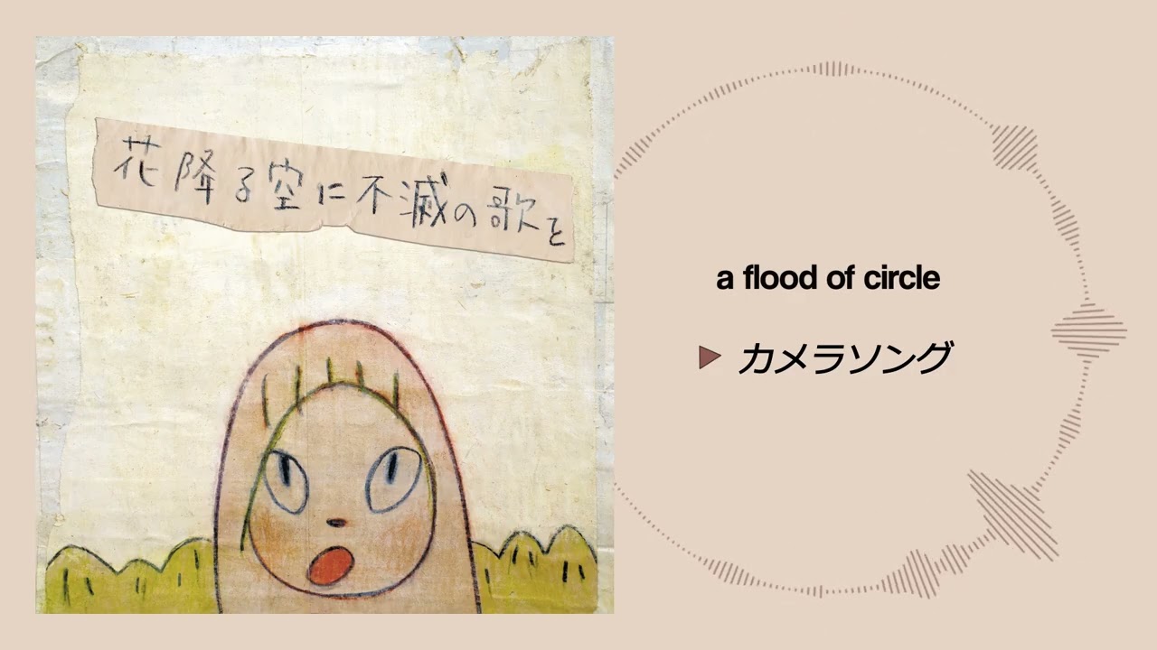 カメラソング - a flood of circle - YouTube