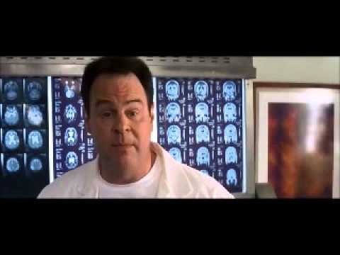 50 first dates clip 4