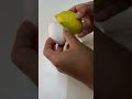 الجزء الرابع دمج البيضة مع الليمون شي خرافي 