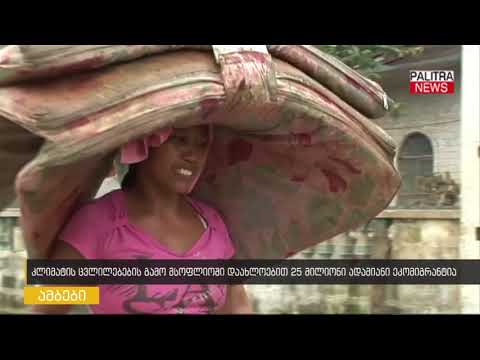 კლიმატის ცვლილებების გამო მსოფლიოში დაახლოებით 25 მილიონი ადამიანი ეკომიგრანტია