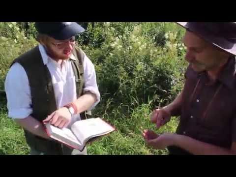Video: Kā Mežā Lasīt Ogas