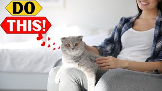 DO THIS and Your Cat Will Start Loving Sitting on Your Lap by For Pet Owners 2,121 views 1 month ago 2 minutes, 49 seconds