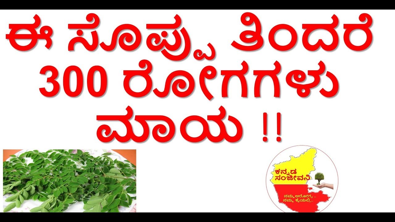 Health Benefits of Moringa leaves ( Drumstick leaves) Drumstick leaves