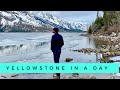 VAN LIFE | Yellowstone &amp; Grand Tetons | WE SAW A BEAR!