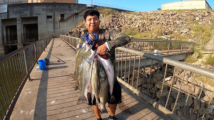 First Time Fishing on This Bridge, FISHING AND COOKING