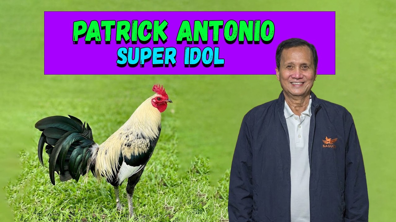 Bakbakan Na! Patrick Antonio