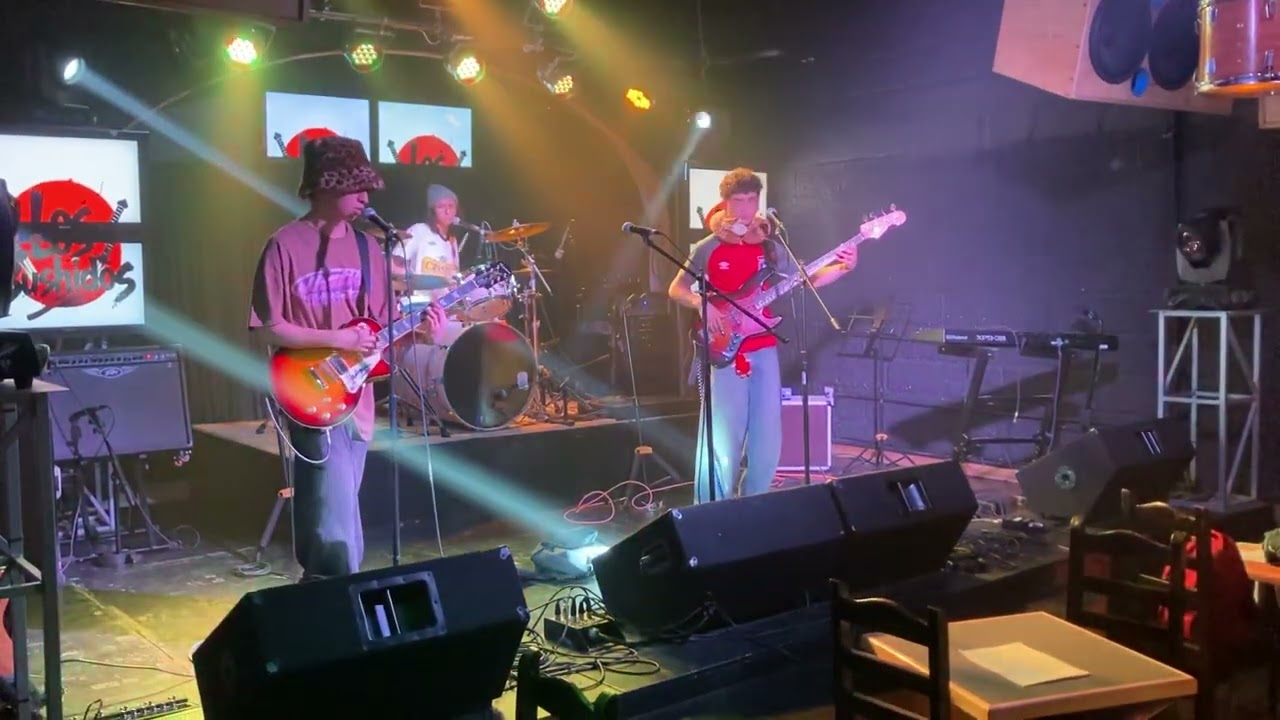 Hormigas planas- planeta- los tetas- cover by los bushidos