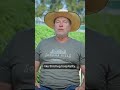 The Michelin-star weed experience at Sonoma Hills Farm