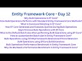 Entity Framework Core Bulk Operations - EF Core Day 12