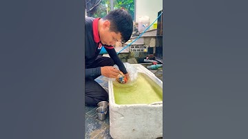 Chia sẻ kinh nghiệm nuôi cá koi , điều trị em koi lần thứ 5 , còn nước còn tát