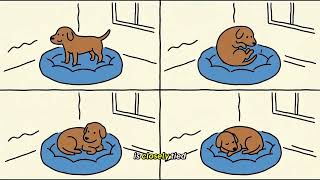 Why Do Dogs Spin Around Before Lying Down? Why Animals Do That