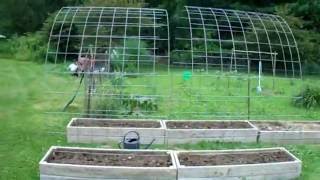 Planter boxes / Pole bean trellis / DIY / upcycle repurpose. Using cattle panels and scrap siding. Here is a short clip from a large 