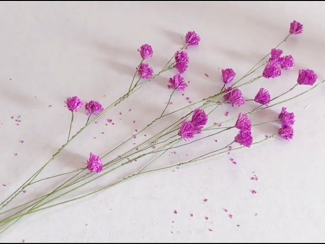 紫色满天星代表的花语含义是思念diy Baby Breath Flower Crepe Paper Youtube