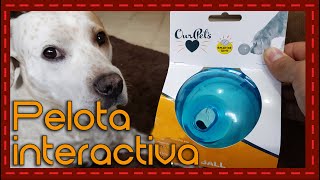 Conoce a: Pelota interactiva para perros l Juguete interactivo l  Interactive toy for dogs 