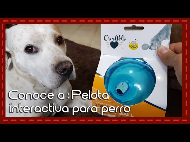 Conoce a: Pelota interactiva para perros l Juguete interactivo l  Interactive toy for dogs 