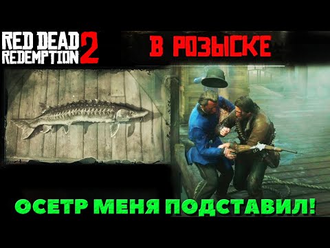 Red Dead Redemption 2 - Я В РОЗЫСКЕ! Легендарный озерный Осетр меня подставил!