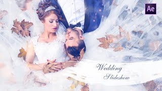VIDEOHIVE WEDDING SLIDESHOW 25259629