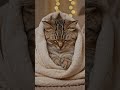 Cute, sad cat wrapped in a comfy blanket