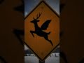 Strang signs #capcut #edit #signs