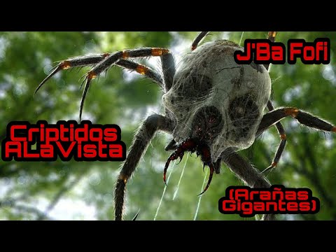 Vídeo: Araña Gigante - Cuento De Hadas O Realidad - Vista Alternativa