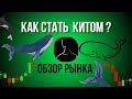Сильное падение - Что делать в такой ситуации?
