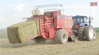 CASE IH 8580 Big Baling Pea Vines