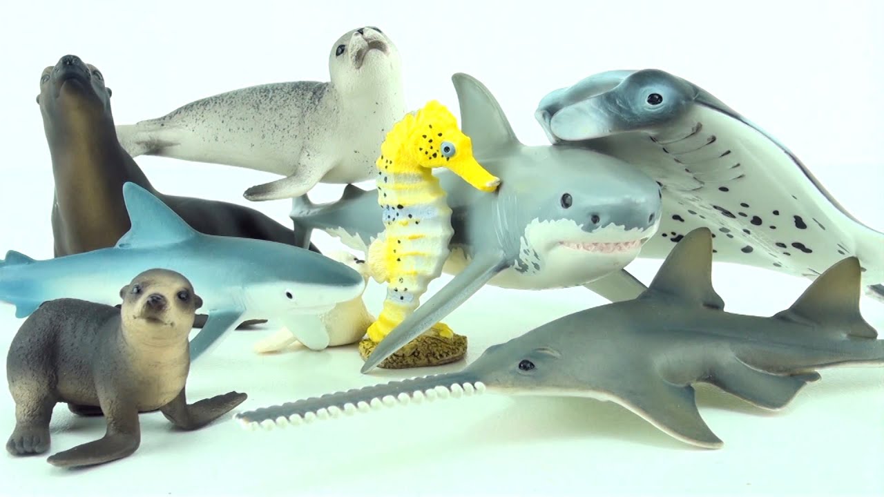 schleich ocean animals