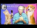 Unlocking pet intelligence  care exciting insights on the pet show with warren eckstein