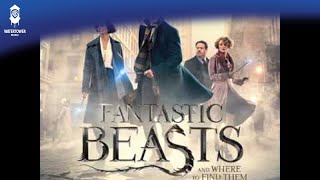 Video thumbnail of "Fantastic Beasts and Where to Find Them Official Soundtrack | Main Titles | WaterTower"