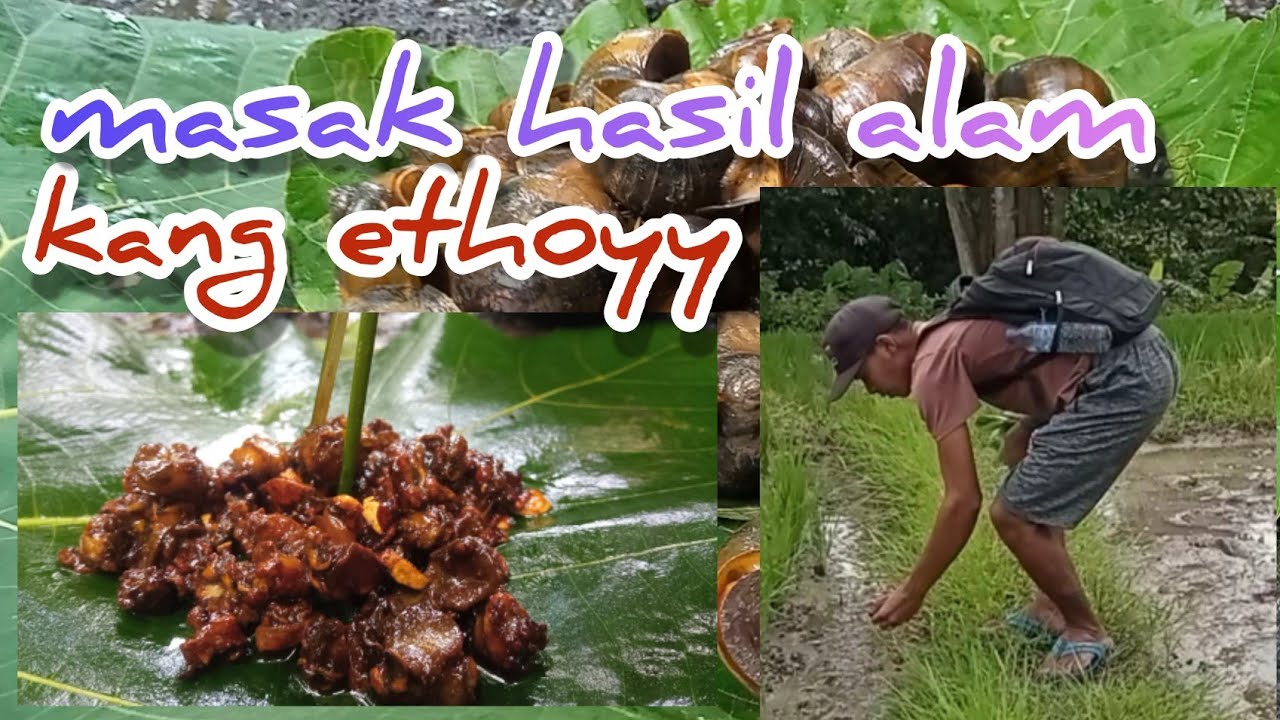 masak olahan alam bersama kang ethoy||gurihhh...