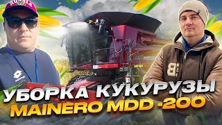 Технология уборки кукурузы безрядковой жаткой Mainero MDD - 200