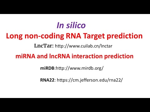 In silico Long non coding RNA target prediction | miRNA lncRNA interaction prediction|