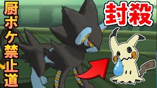 【ポケモンUSUM】使用率１位のミミッキュを倒せる神ポケを見つけた！【厨ポケ禁止道】