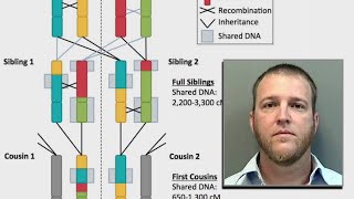 Florida man charged with rape after entering his own DNA into genealogy database