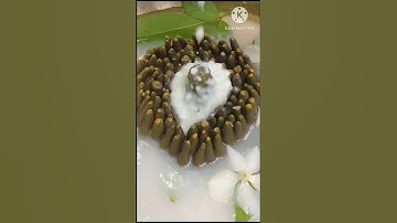 🙏🔱🙏Rudra Abhishek pooja 📿📿#bholenath #shortsvideo#trending #trendingsong #viralvideo #ytshort #viral