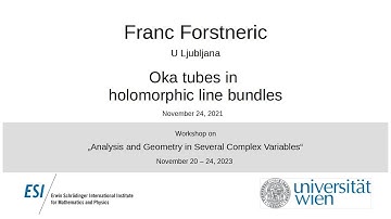 Franc Forstneric - Oka tubes in holomorphic line bundles