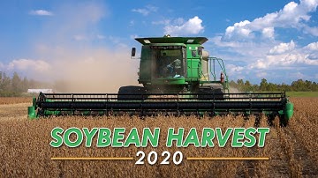 Soybean Harvest 2020