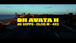 DJI AVATA 2 - Cinematic Test Footage - 4k 60fps D-Log M - Ocean Drive - Corpus Christi, Texas